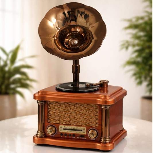 L’Aristocrate du Son: Radio & Haut-Parleur Gramophone Bluetooth — vue 2