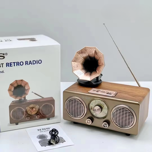 Retro Radio NS-802BT Phonographe Haut-parleur avec Bluetooth