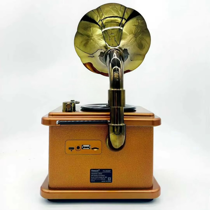 L’Aristocrate du Son: Radio & Haut-Parleur Gramophone Bluetooth — vue 7