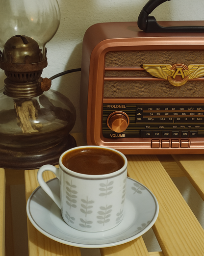 Haut-Parleur Vintage Portable – Radio FM MEIER RX-BT939 — vue 5