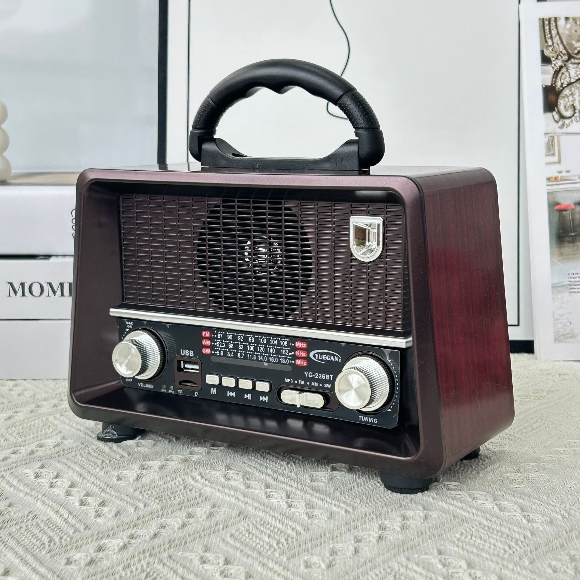 L'Écho Impérial : Radio & Haut-Parleur YG-227BT Bluetooth — vue 2
