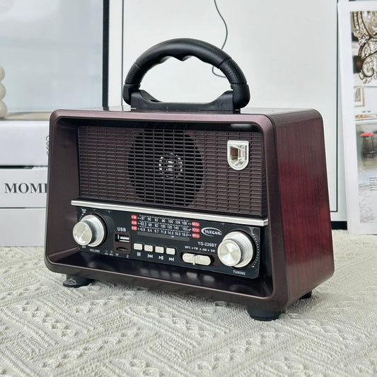 L'Écho Impérial : Radio & Haut-Parleur YG-227BT Bluetooth — vue 2