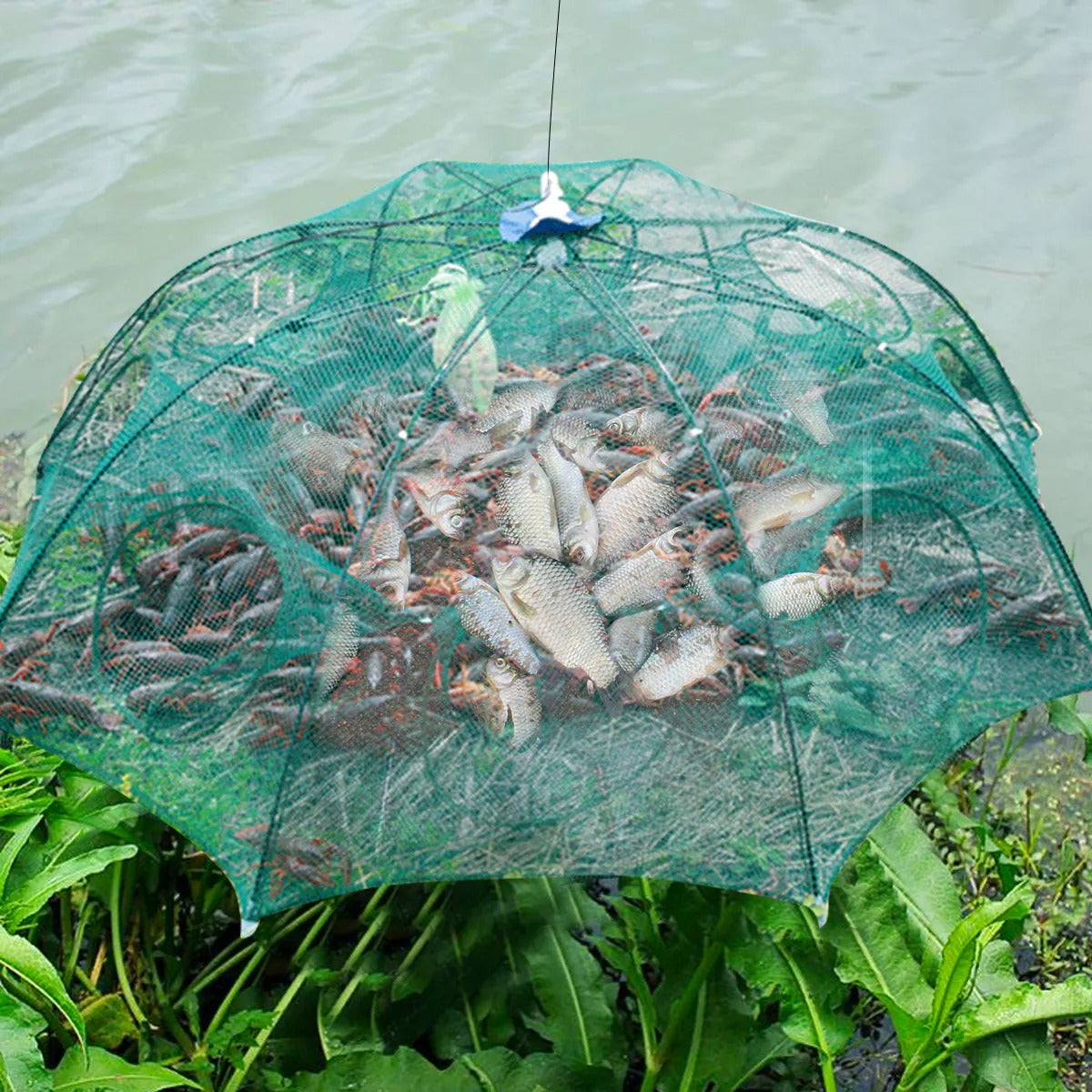 Piège à poisson شبكة صيد أوتوماتيكية قابلة للطي — vue 4