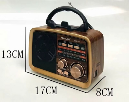 Radio Multi-fréquence Portable Golon RX-BT031 — vue 3